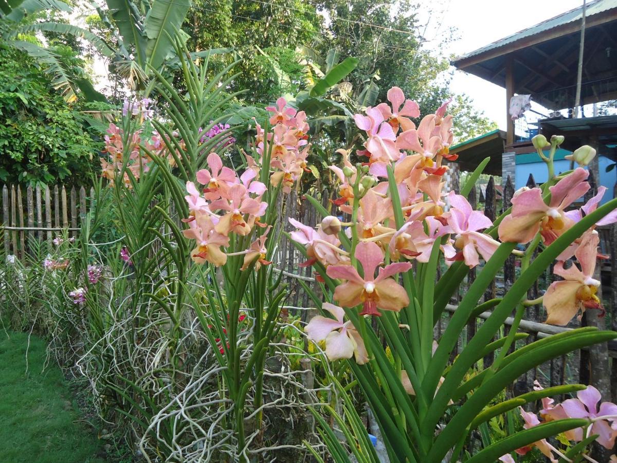 Lhoyjean Garden Hostel Batuan Luaran gambar
