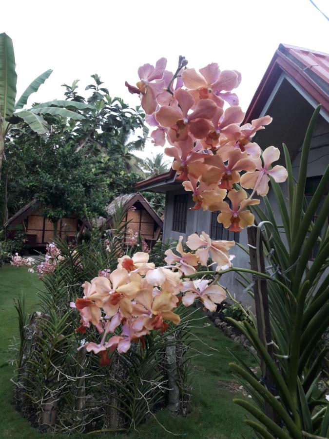 Lhoyjean Garden Hostel Batuan Luaran gambar