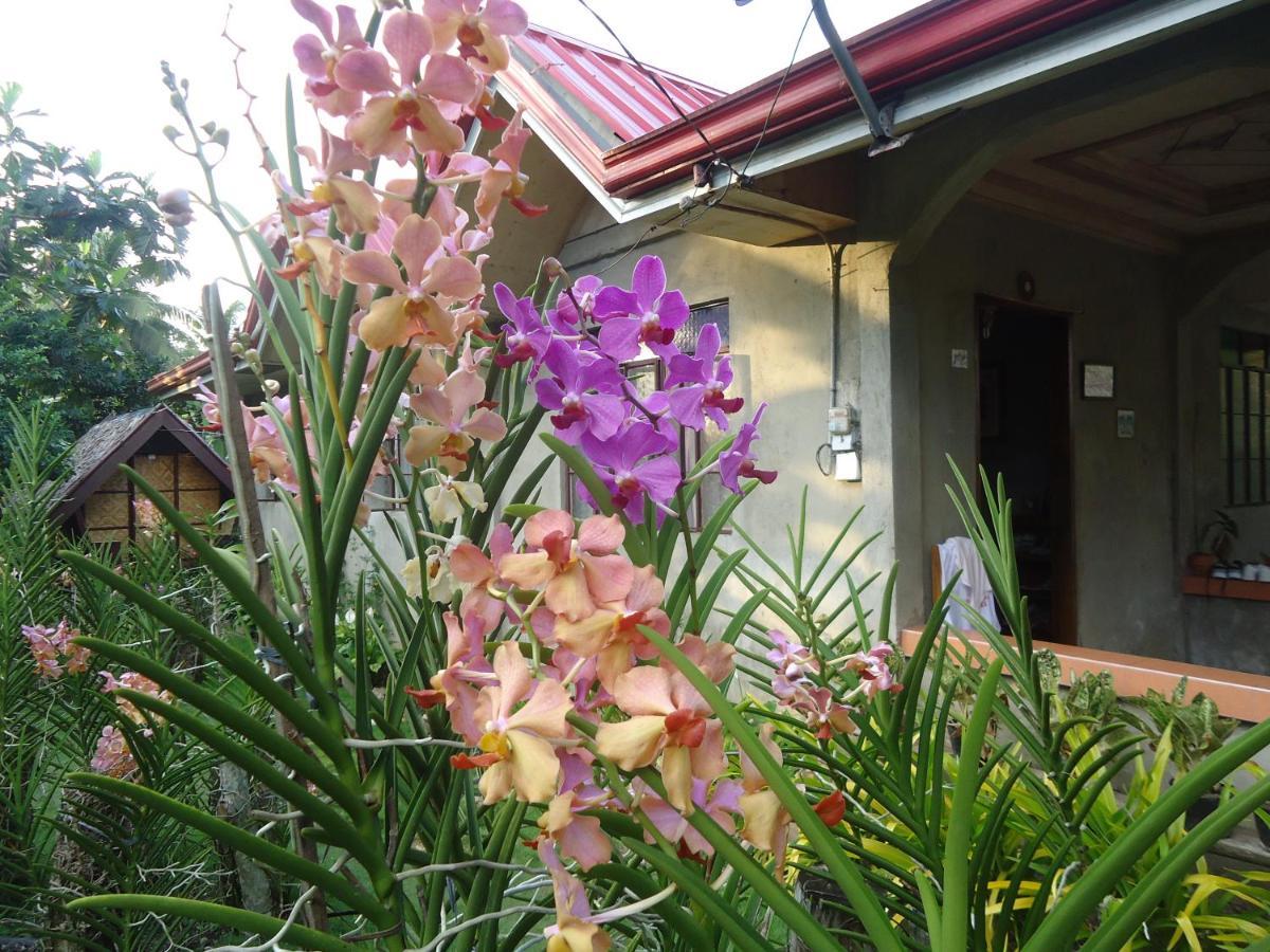 Lhoyjean Garden Hostel Batuan Luaran gambar
