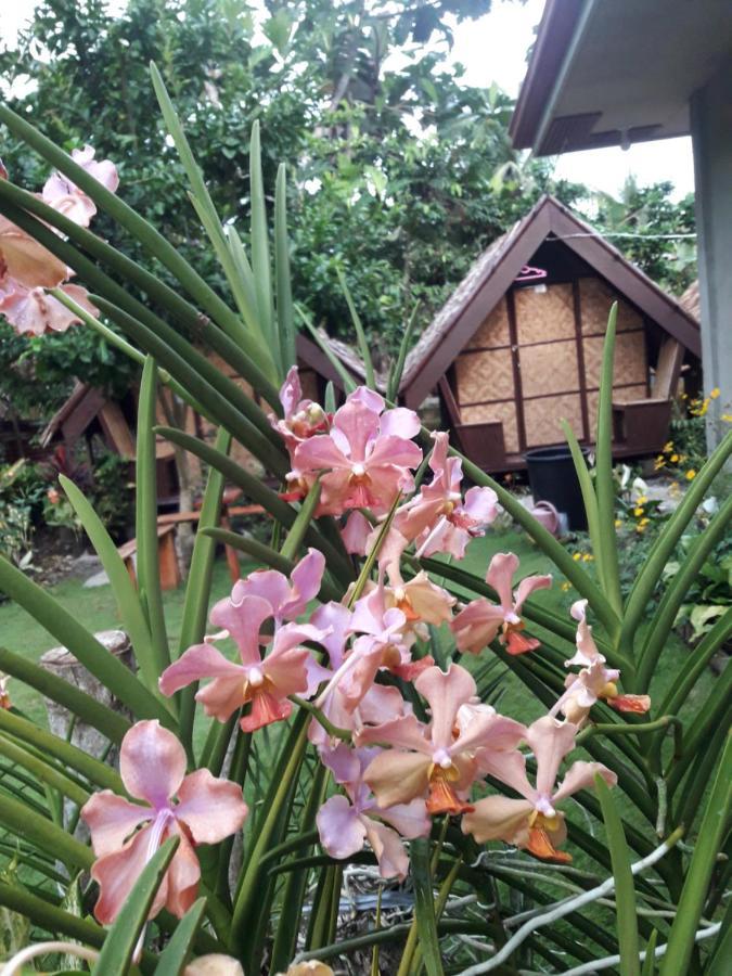 Lhoyjean Garden Hostel Batuan Luaran gambar